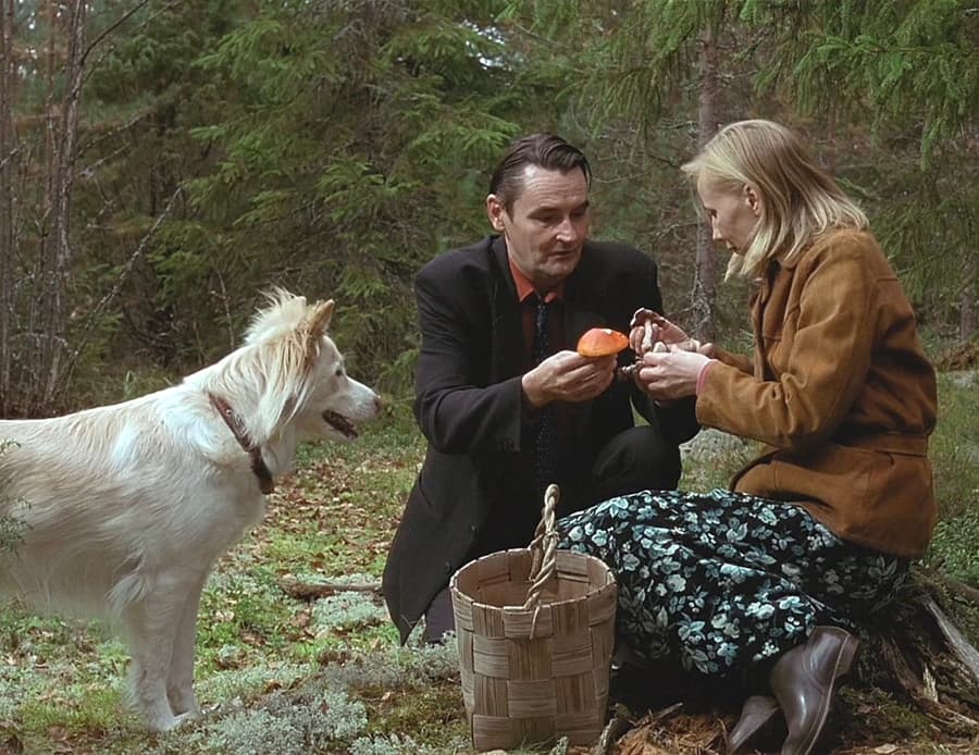 Tähti as Hannibal in The Man Without a Past