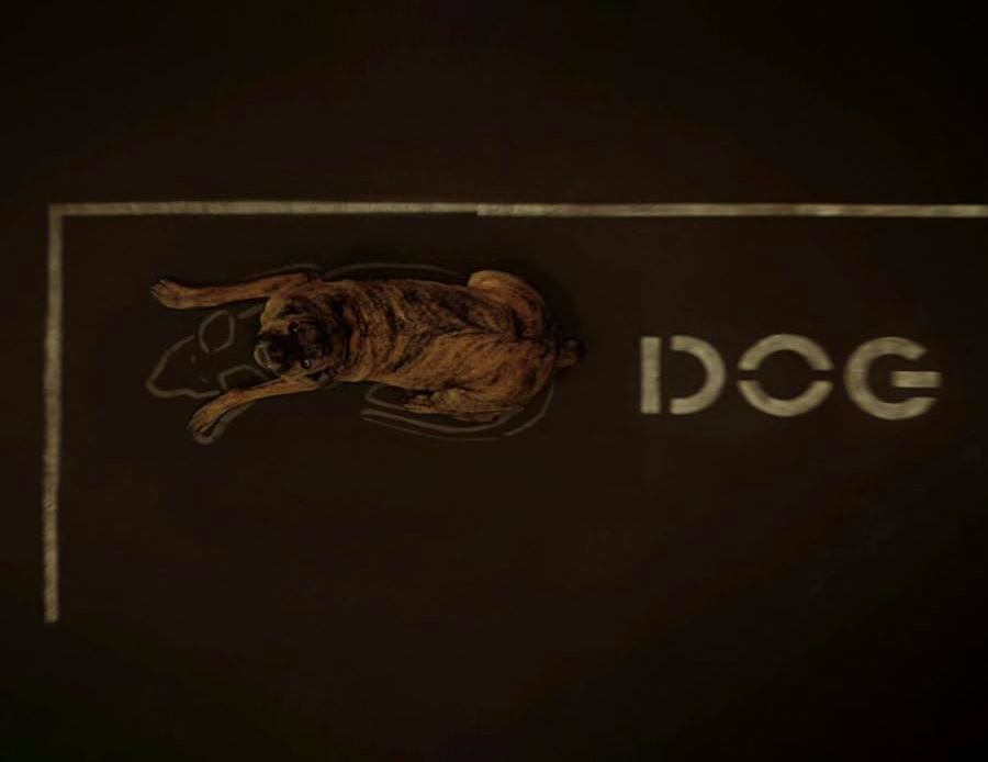 Moses in Dogville