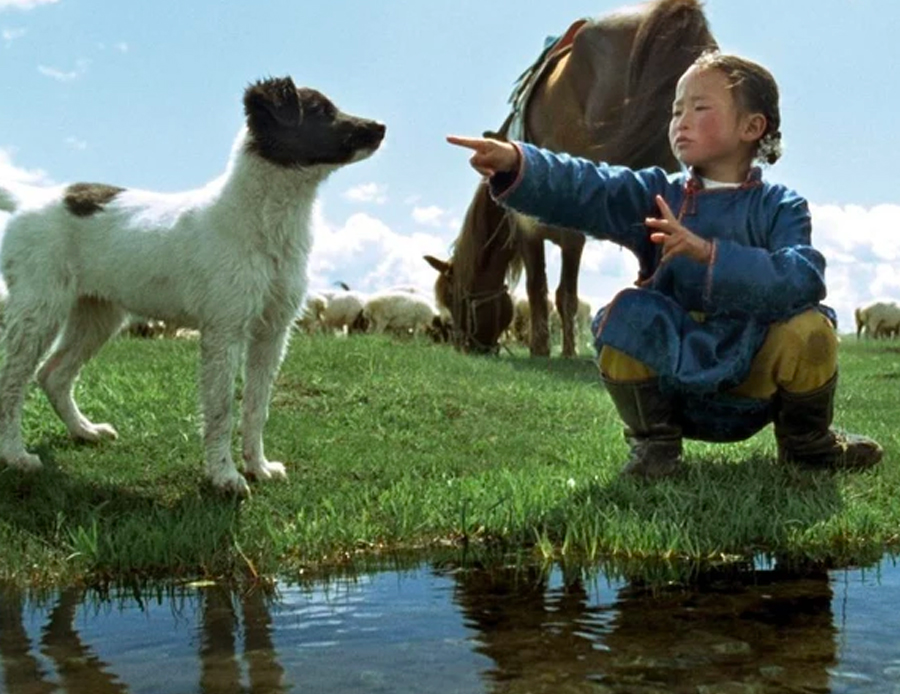 The shepherd dog in The Story of the Yellow Dog