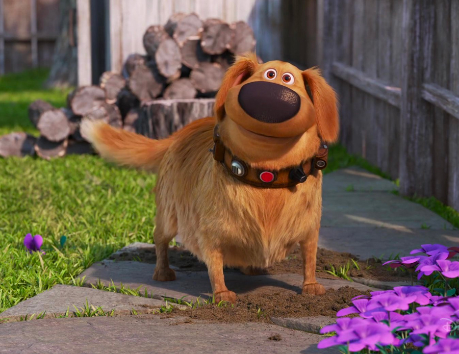 Dug, Up