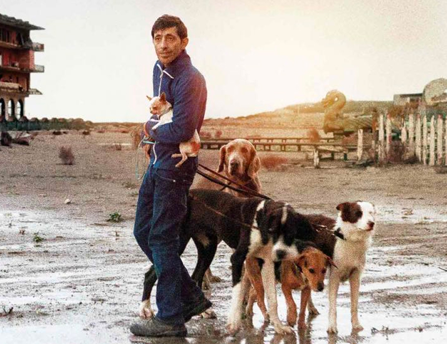 Bruno, in The Meyerowitz Stories