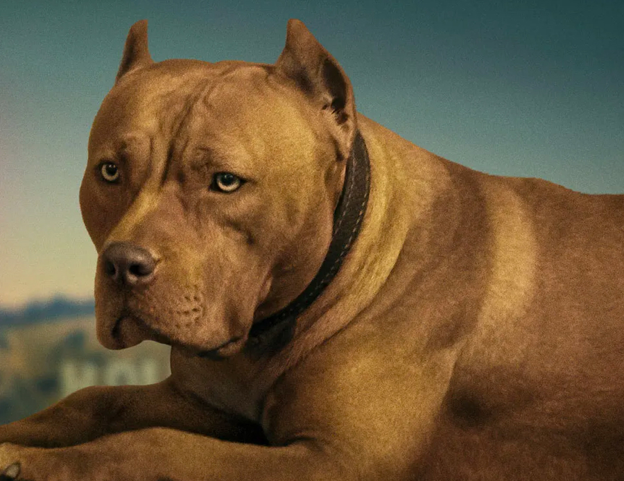 Brandy, in Once Upon a Time… in Hollywood