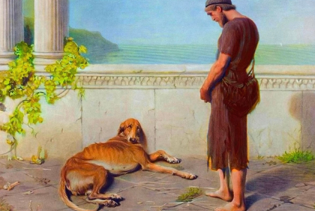 Palm Dog