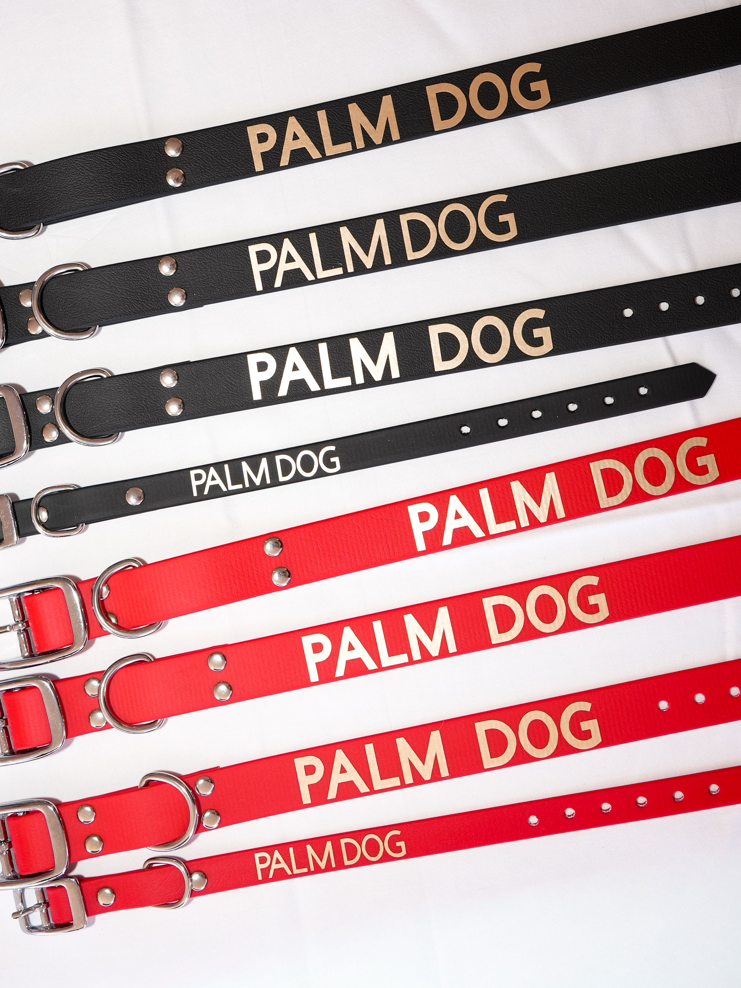 Palm Dog